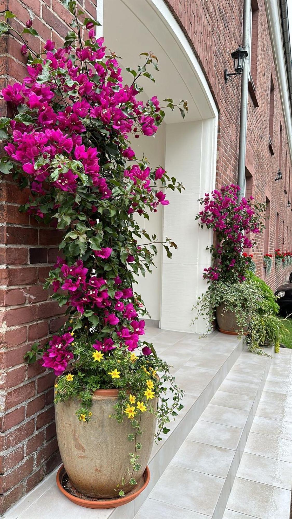 Amarit Hotel Dziwnow Exterior photo